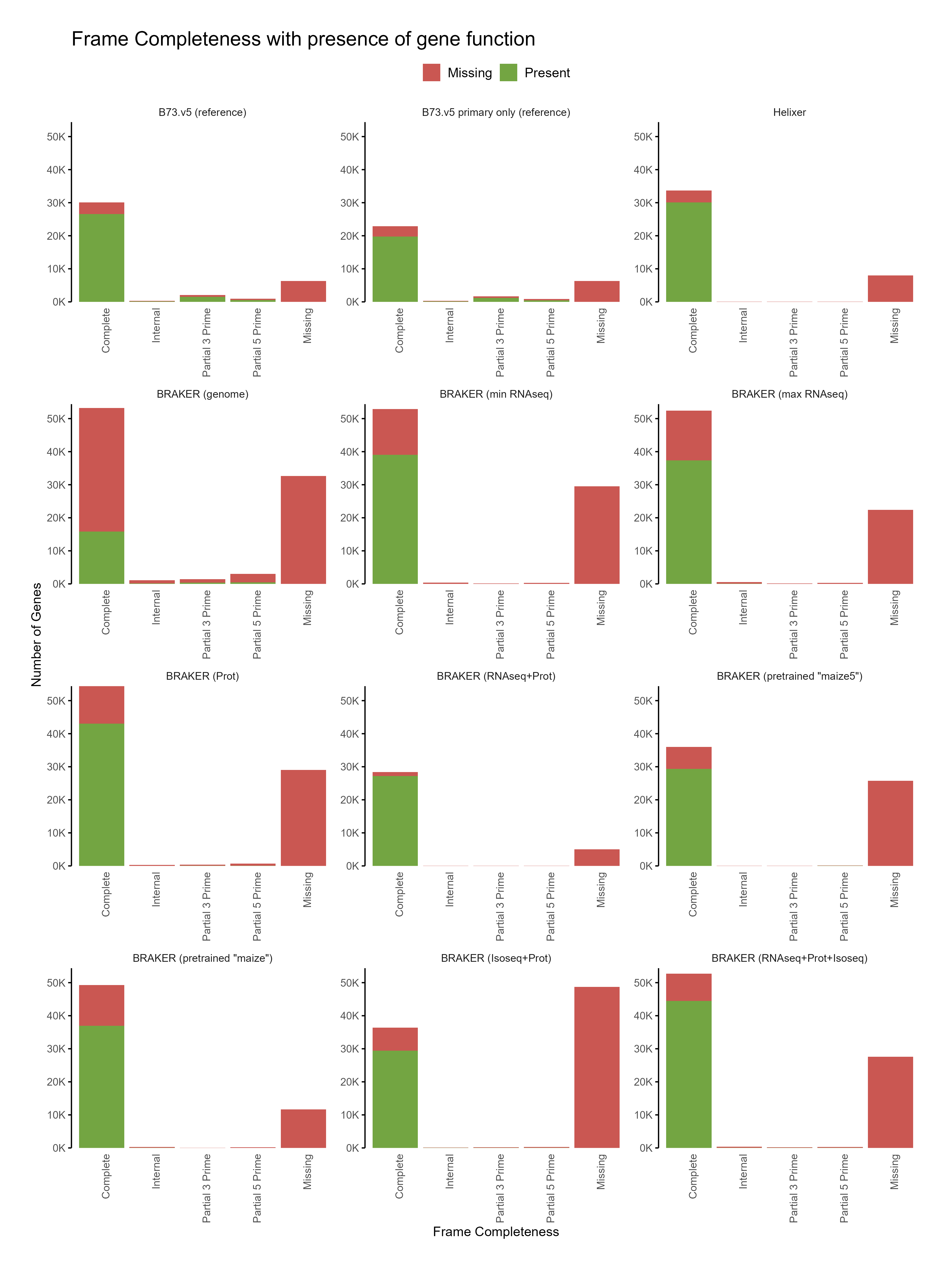 Functional Annotation