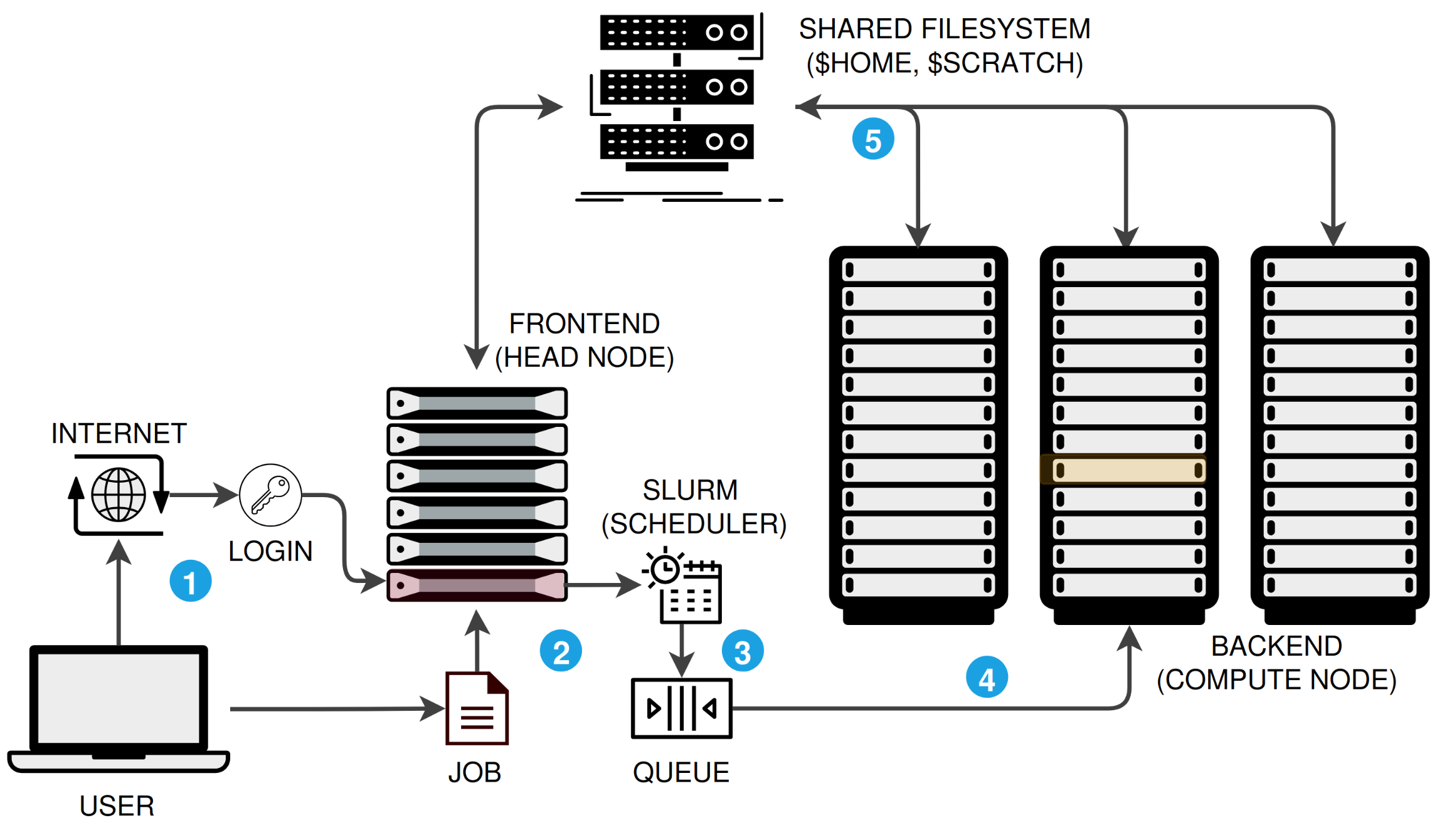 How an HPC cluster works: you log in to a head node, submit jobs through the SLURM scheduler, and your work runs on compute nodes that share a common filesystem