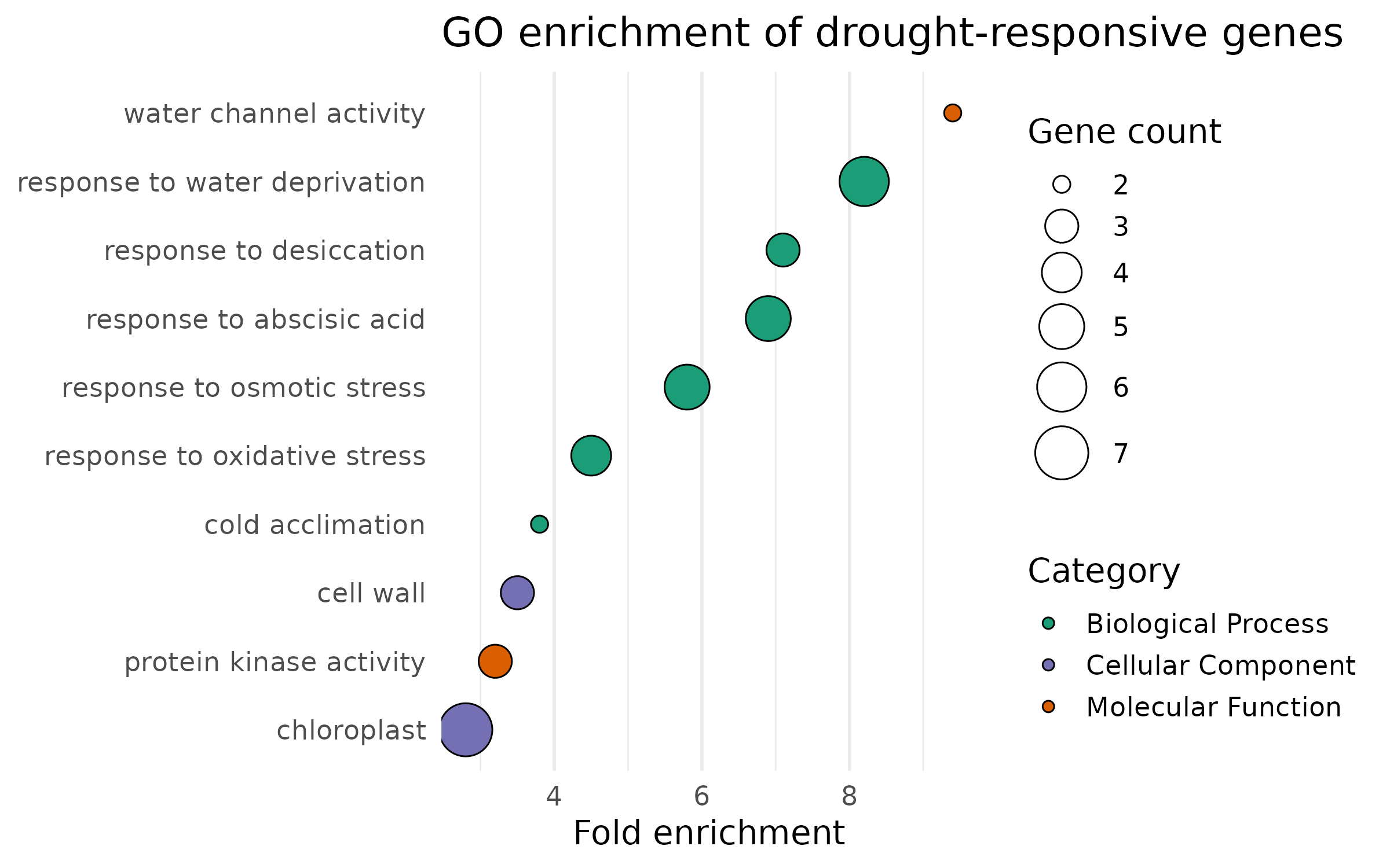 Enrichment dot plot — publication version