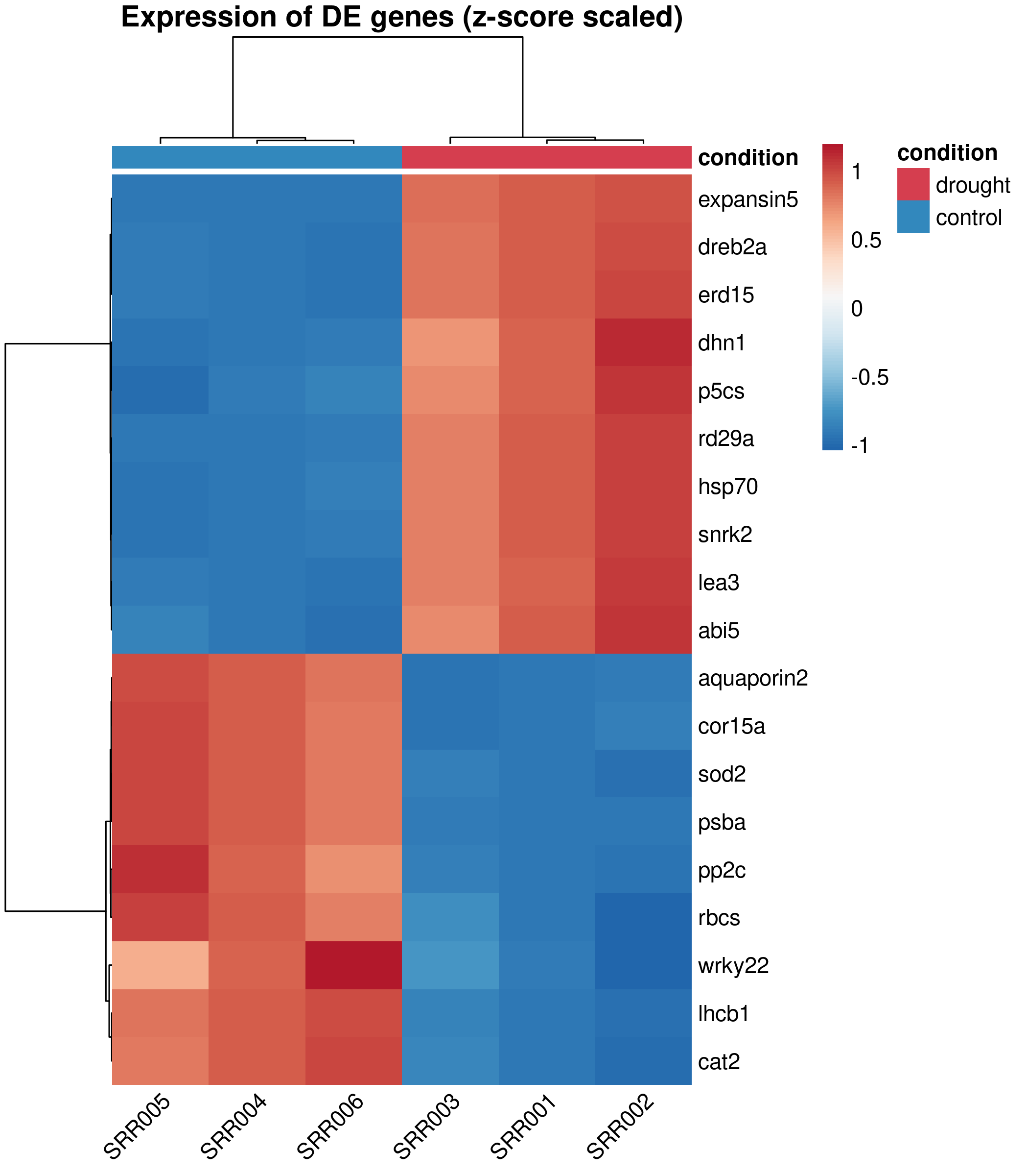 Heatmap — publication version