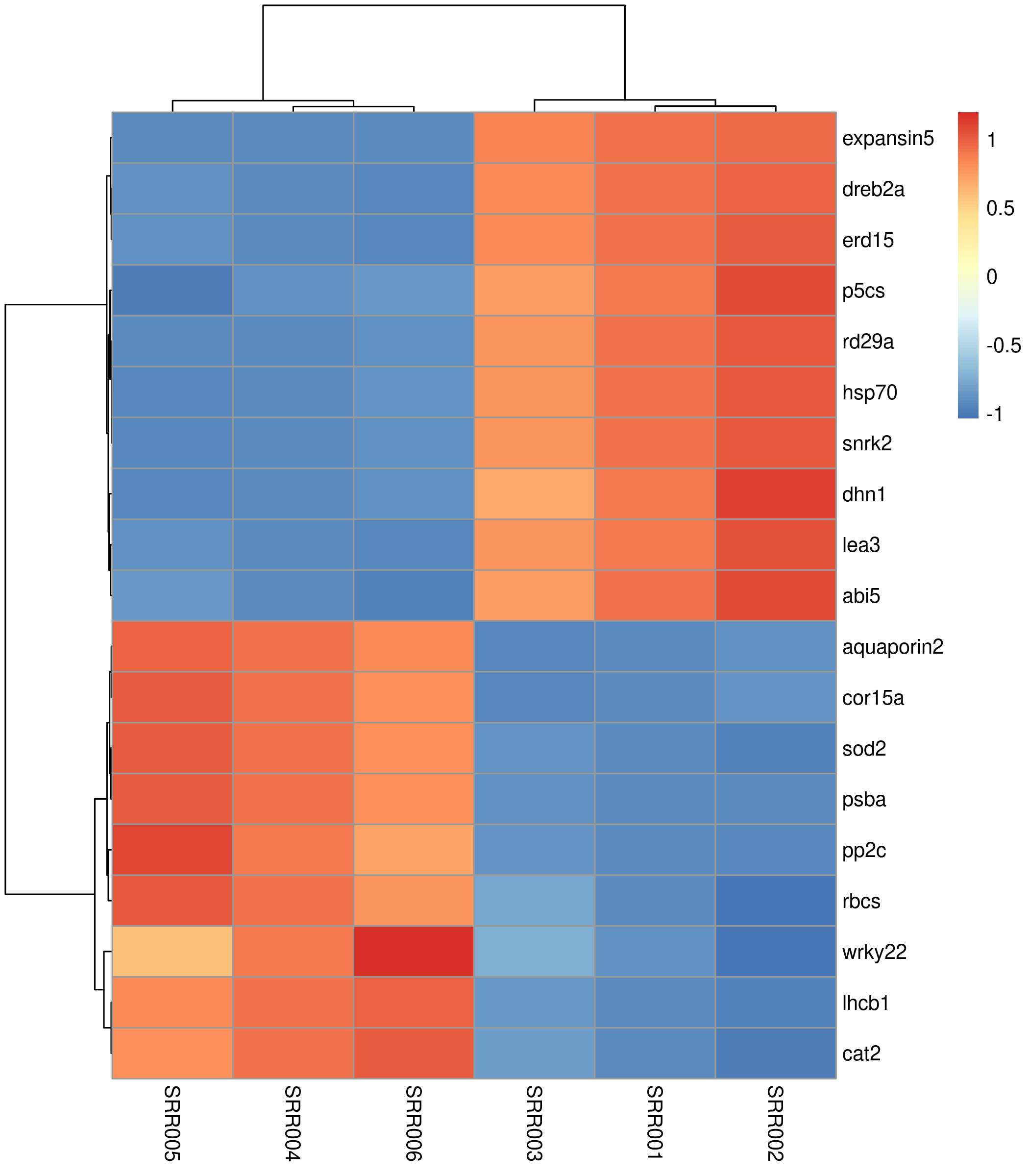 Heatmap — default output