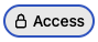 AnvilGPT access settings button