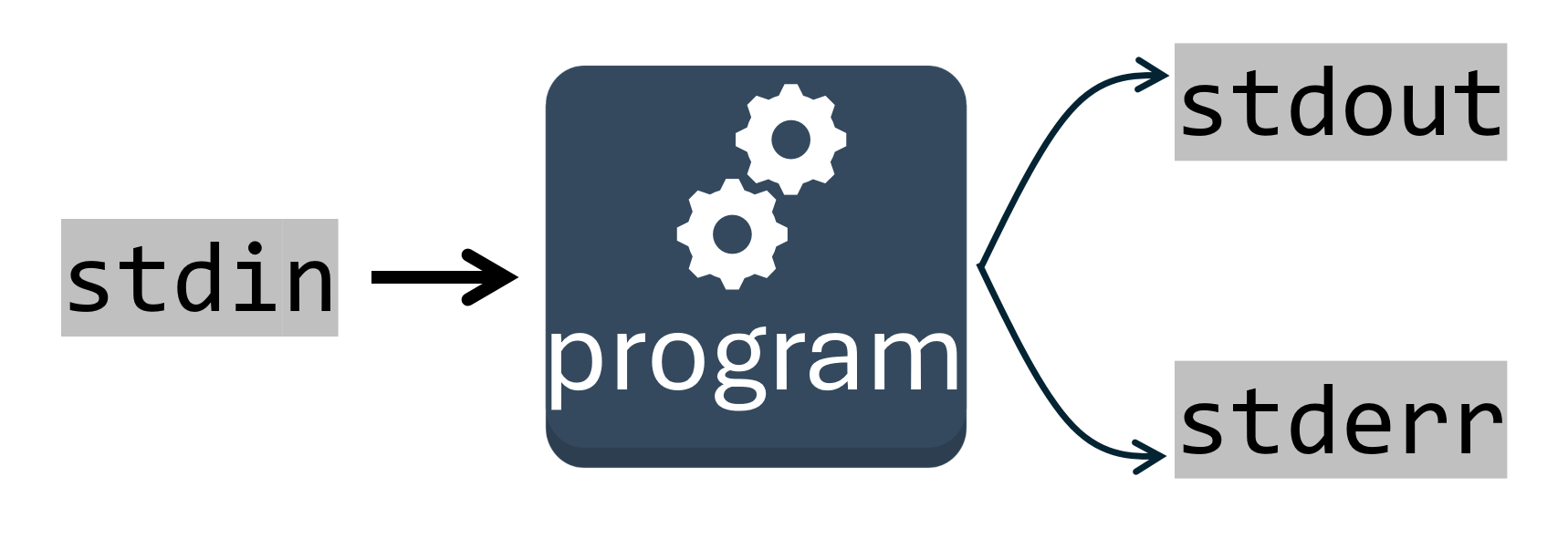 Image showing stdin going into a program, and the stdout and stderr coming out of the program